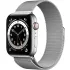 Zilver Apple Watch Series 6 GPS + Cellular, roestvrijstalen kast, 40 mm.1