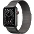 Gris Apple Watch 6 GPS + Cellular, correa de acero inoxidable, 44 mm.1