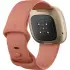 Ton und weiches Gold Fitbit Versa 3 SmartWatch, Aluminium, 41 mm.4