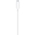 Blanco Apple MagSafe Charger (2020).3