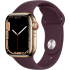 Gold Apple Watch Series 7 GPS + Cellular, Edelstahlgehäuse, 45 mm.1