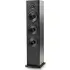 Black Polk T50 Floorstanding loudspeaker (piece).1