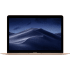 Gold Apple MacBook (Mid 2017).1