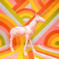 How to Make the Most of Color Factory | Marco Feng