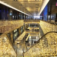 How to Make the Most of Color Factory | Marco Feng