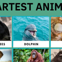 List of 25 Largest Animals in the World • 7ESL List of 25 Largest Animals in the World • 7ESL