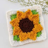 Free Crochet Daisy Flower Granny Square Pattern - Crochet Bits