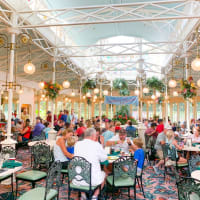 19 Best (And Worst!) Animal Kingdom Restaurants - Disney Trippers 19 Best (And Worst!) Animal Kingdom Restaurants - Disney Trippers