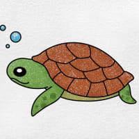 How to Draw a Turtle Shell - HelloArtsy