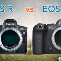 Canon R7 vs Canon R Detailed Comparison