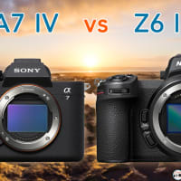 Nikon Z5 vs Sony A7 II Detailed Comparison