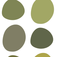 The 15 best sage green paint colors for 2024