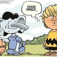 political animal - Political Dictionary political animal - Political Dictionary
