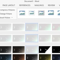 How to View Label Outlines in Word