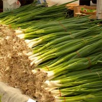 The Difference Between Chives, Scallions, and Green Onions - Escoffier  Online