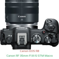 Canon R Camera and Canon RF 35mm F1.8 IS STM Macro Lens