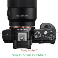 Sony A7 II Camera and Sony FE 50mm F2.8 Macro Lens