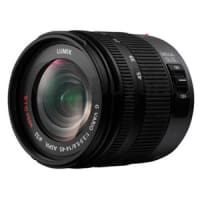 Panasonic Lumix G Vario 14-45mm F3.5-5.6 ASPH OIS vs Panasonic