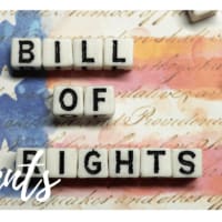 at last a free pdf of the us constitution downloadable and printable