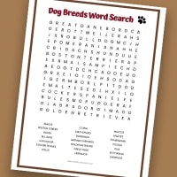 100 word word search pdf free printable hard word search