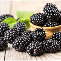 Arbonne vs Shakeology: What's the Difference? - Health Guide Net