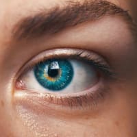 Mole on Body Meaning for Female, and Male | Health Kura