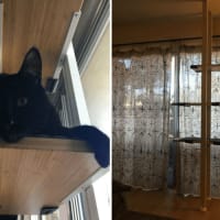 Ikea kvartal bike rack cheap