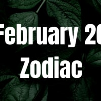 February 25 Birthday Zodiac Sign Chart, Love, Traits, and Career