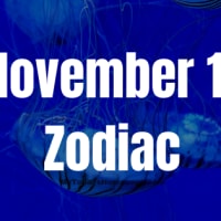 November 8 Zodiac Sign: Astrology chart, Love, Traits, and Career