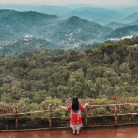 Cochin To Munnar Distance By Road Your Kochi To Munnar Travel Guide - Transport, Sightseeing, Where To Eat &  More!