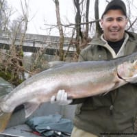 Wilson River Fishing Map Wilson River Fishing - Best Fishing In America