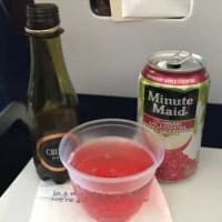 southwest airlines bolsagage check in online