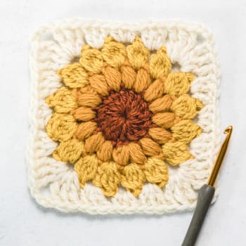 17 Easy Crochet Dishcloth Patterns - Sarah Maker