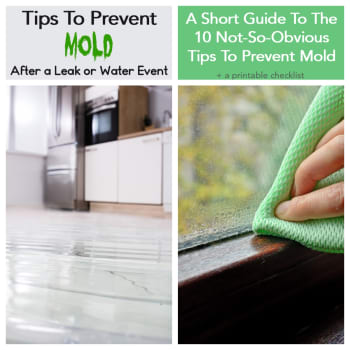 Concrobium Mold Control… Does it really work? And is it safe? – Mold Control  Panama
