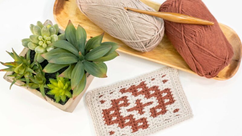 Mosaic Crochet Stitch: A Beginner's Guide