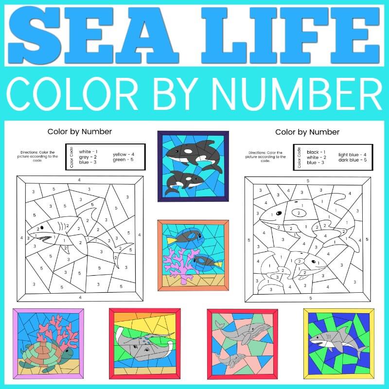 Ocean Life Color By Number for Kids Ages 8-12: Amazing Sea Animals