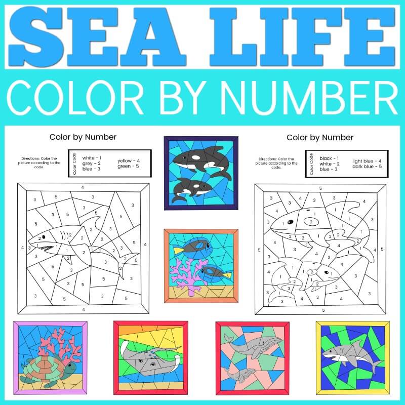 Color By Numbers For Kids Ages 6-8: Dinosaur, Sea Life, Unicorn