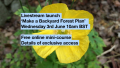 Screenshot of livestream text over photo of yellow poppy