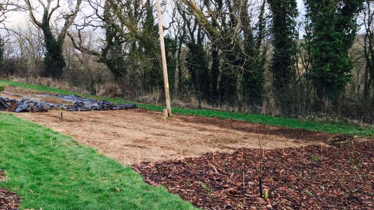 Photo of bare earth prepared bed, trees to the back, grass path to the front