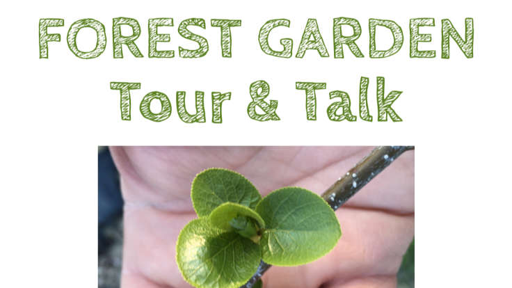 Screenshot of Forest Garden tour poster