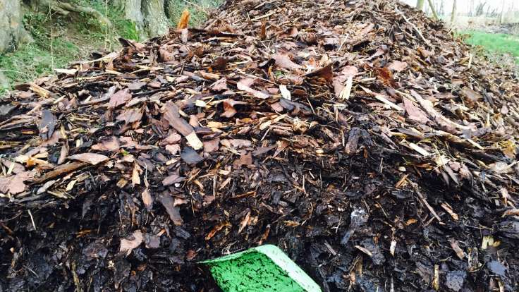 A mound of bark