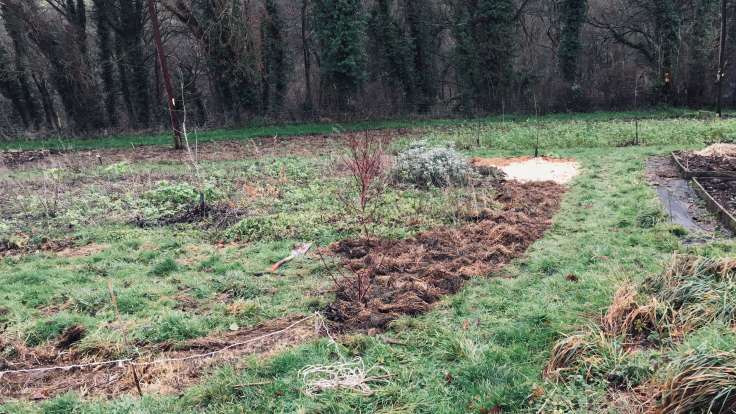 Freshly deturfed and mulched side of an existing bed, next to raised beds