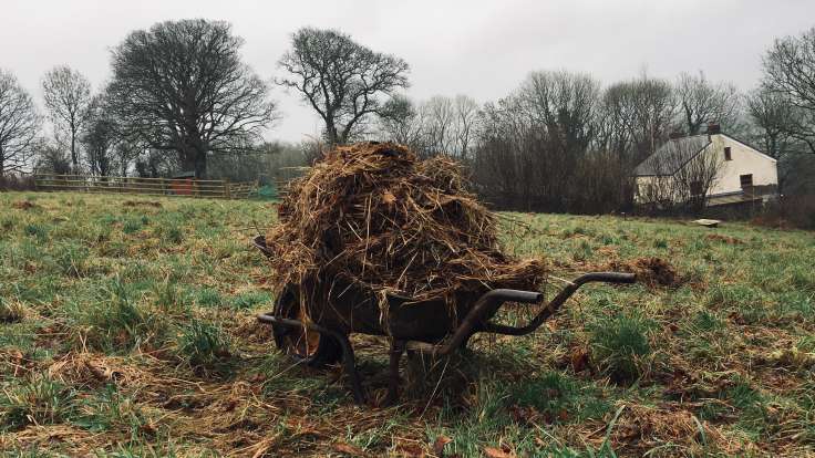 Old wheelbarrow full of rotting hay in a field