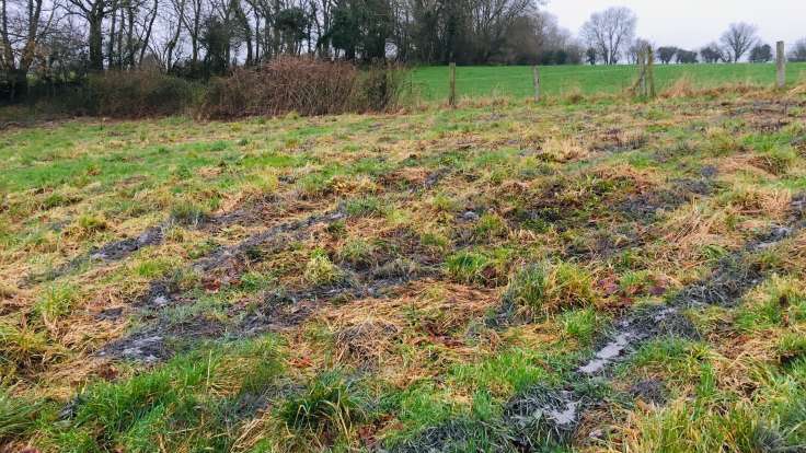 Lines of grey powdered lime on rough pasture field