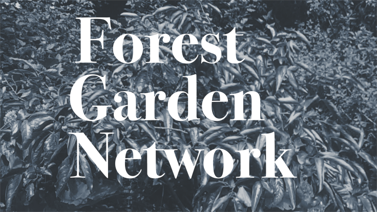 Graphic with the words "Forest Garden Network"