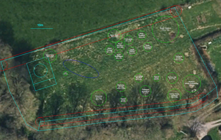 Satellite photo of field overlayed with forest garden CAD plan