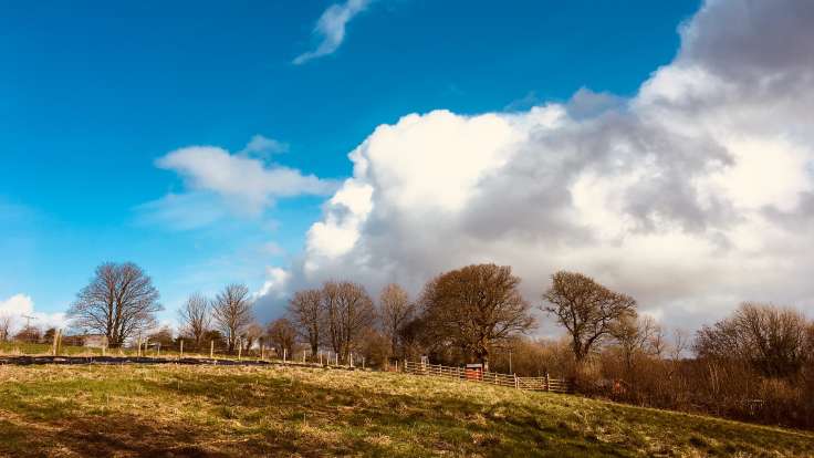 Big cumulus cloud, blue sky over mature trees on horizon, new garden foreground