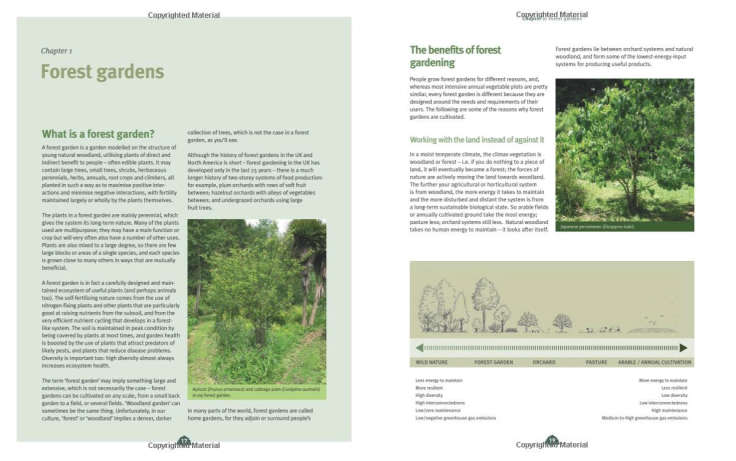 Screenshot of inside of forest garden book