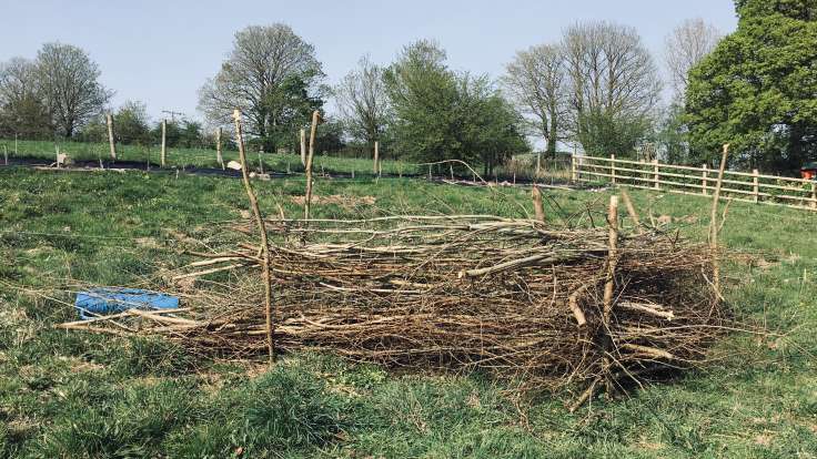 Dead hedge in field, made out of posts and old branches