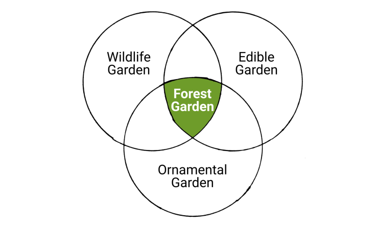 Hand-drawn Venn diagram. Ornamental garden, vegetable garden & wildlife garden in circles, forest garden in intersection.